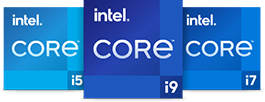 Intel badge