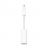 Apple Thunderbolt to FireWire Adapter