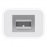 Apple Thunderbolt to FireWire Adapter