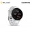Garmin Forerunner 165 GPS Running Smartwatch - Mist Gray/Whitestone