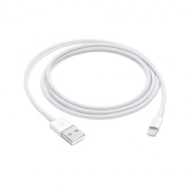 Apple 1m Lightning to USB Cable-ZML