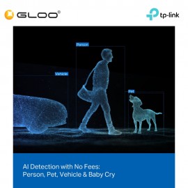 TP-Link Tapo C246D Indoor/Outdoor Dual Lens Pan/Tilt Security Camera