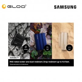 Samsung Portable SSD T7 Shield USB 3.2Gen 2 2TB - Moonrock Beige