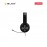 [Pre-order] Lenovo Legion H300 Stereo Gaming Headset (GXD0T69863) [ETA:3-5 working days]