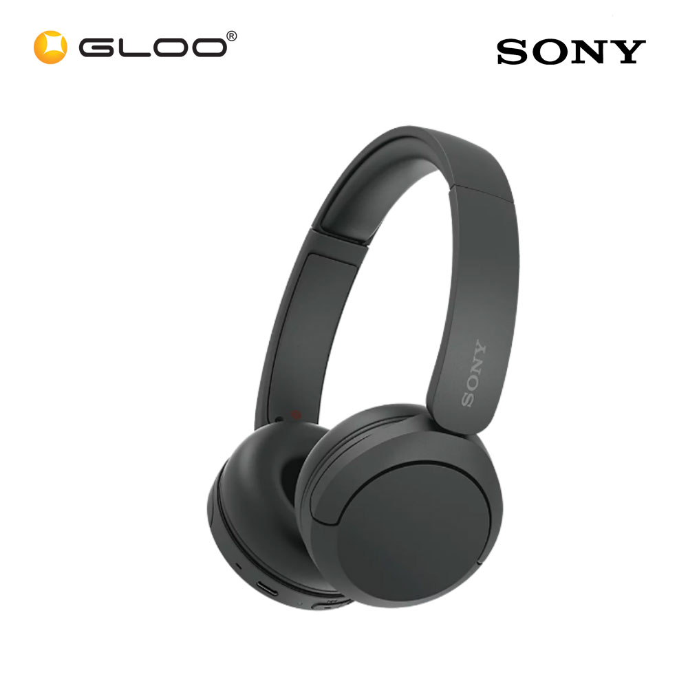 Sony WH-CH520/BZE Black Headphone 4548736142381