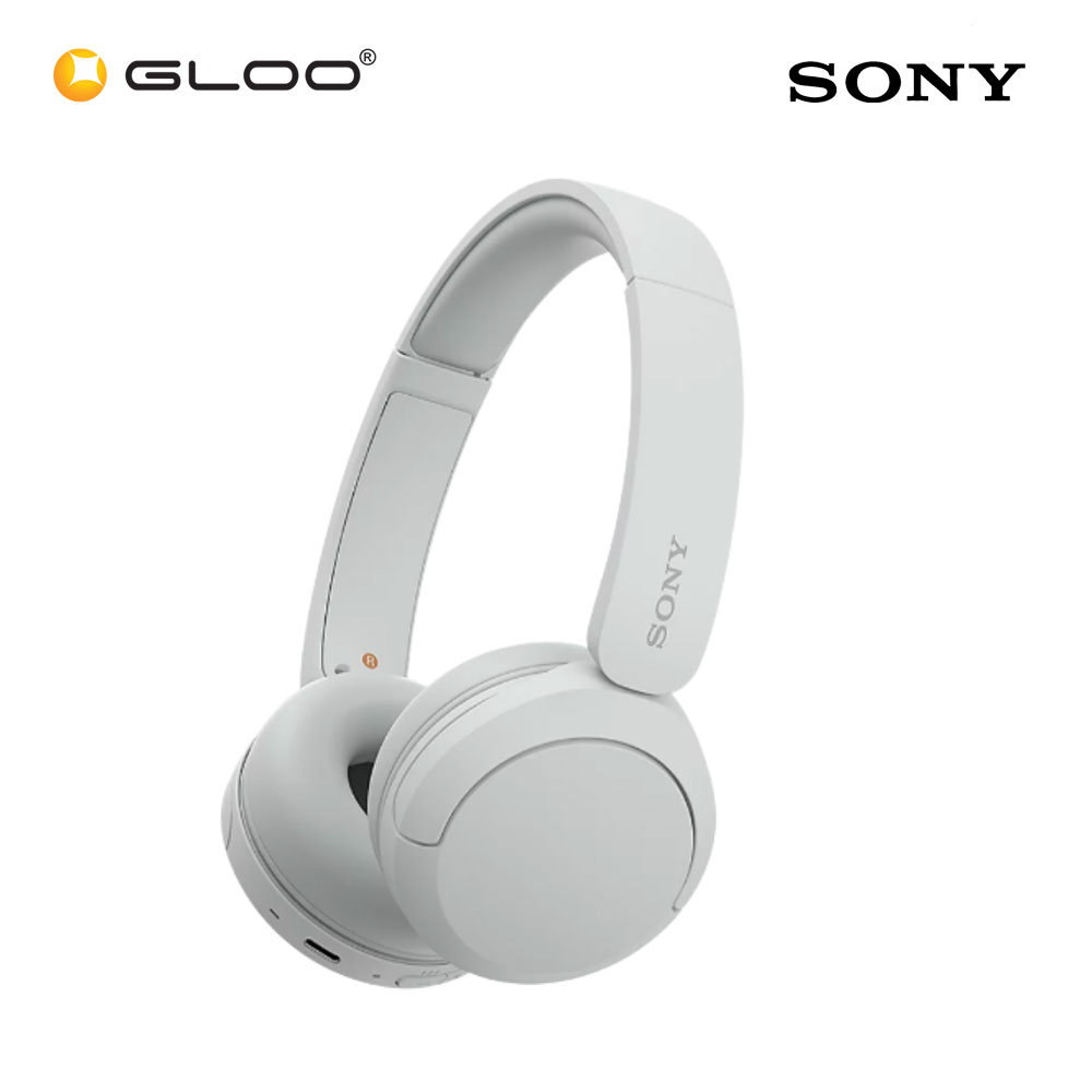 Sony WH-CH520/WZE White Headphone 4548736142824