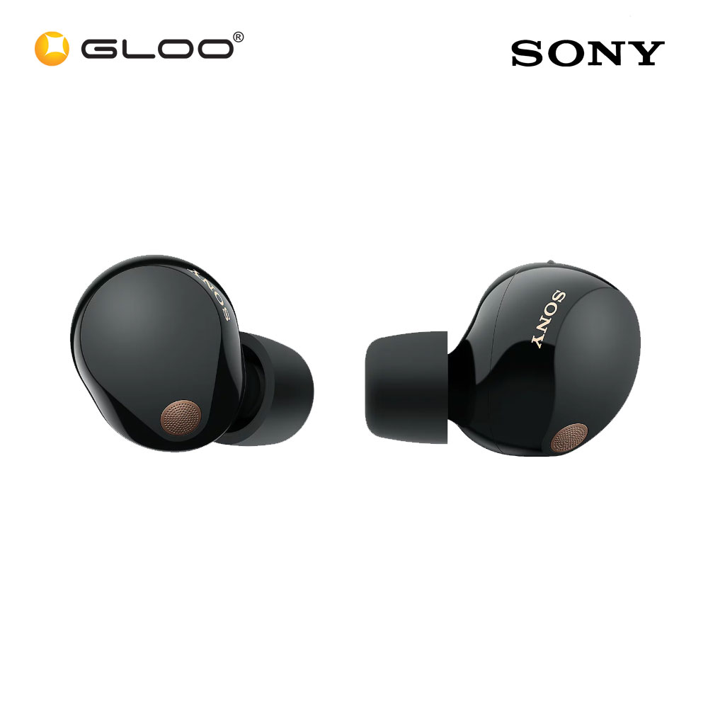 Sony WF1000XM5/BCE Black Noise Earbuds 4548736143494
