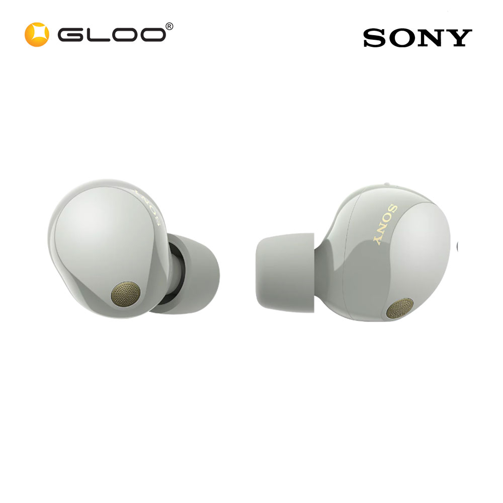 Sony WF1000XM5/SCE Silver Noise Earbuds 4548736143555