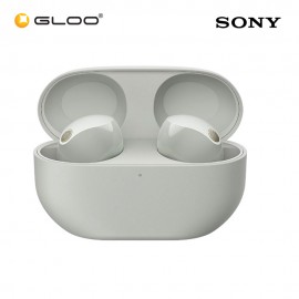 Sony WF1000XM5/SCE Silver Noise Earbuds 4548736143555