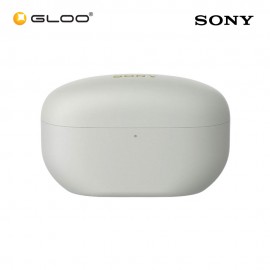 Sony WF1000XM5/SCE Silver Noise Earbuds 4548736143555