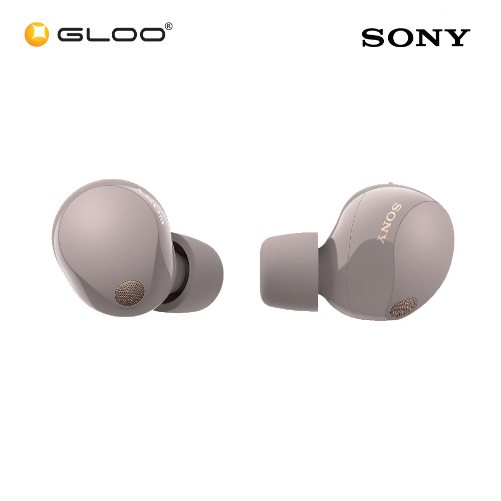 Sony WF1000XM5/PCE Pink Noise Earbuds 4548736163638