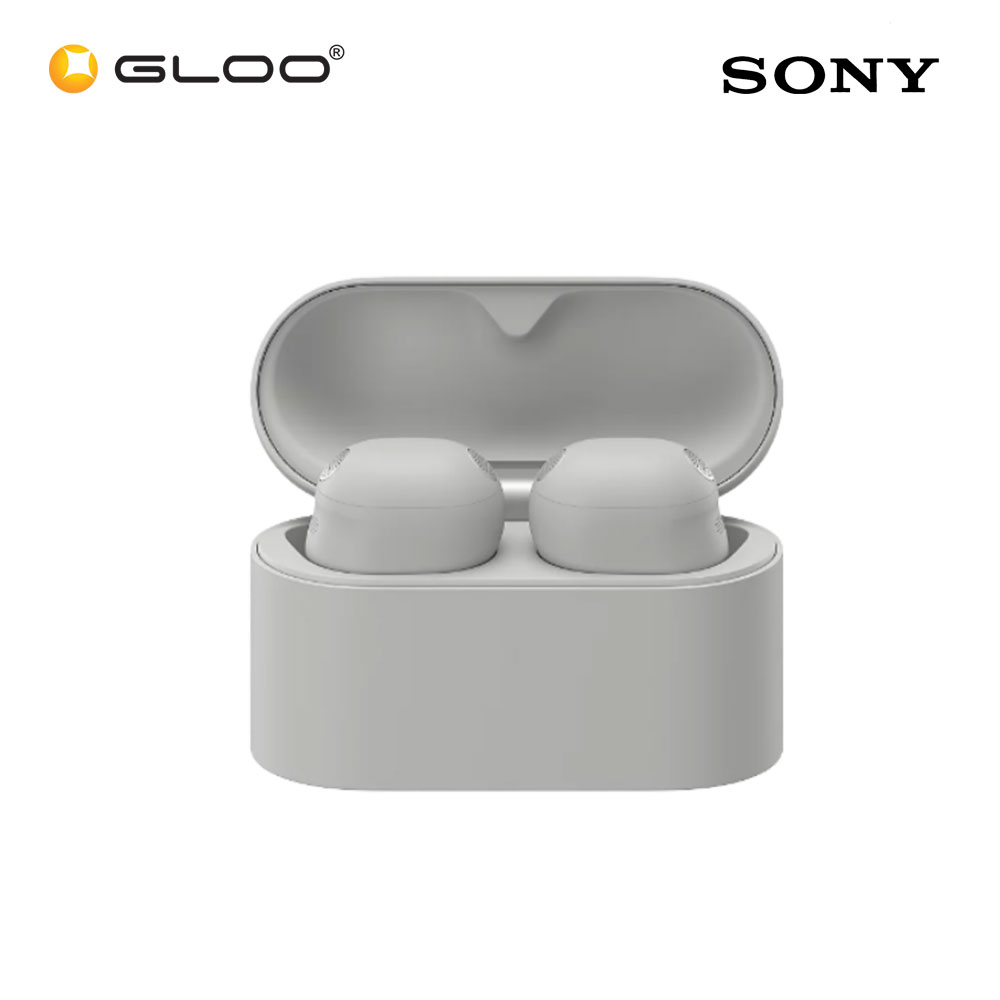 Sony WF-1000XM6/BZE Wireless Noise Cancelling Earbuds Platinum Silver 4548736171831