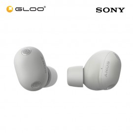 Sony WF-1000XM6/BZE Wireless Noise Cancelling Earbuds Platinum Silver 4548736171831