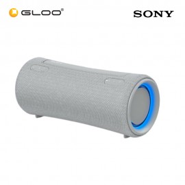 Sony SRS-XG300/HCSP6 Light Grey Speaker 4548736134980