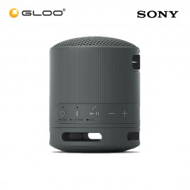 Sony SRS-XB100/BCE Black Speaker 4548736146242