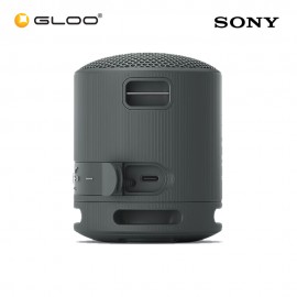 Sony SRS-XB100/BCE Black Speaker 4548736146242