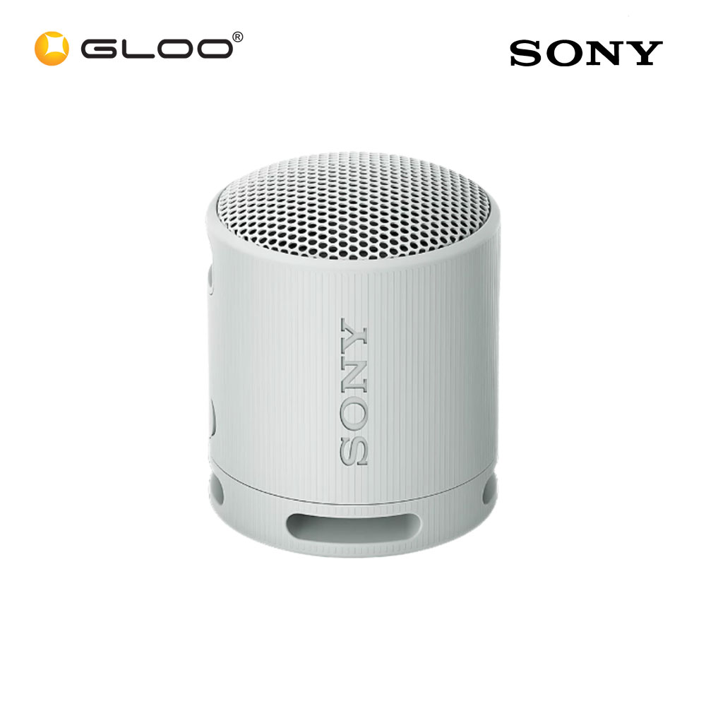 Sony SRS-XB100/HCE Grey Speaker 4548736146259
