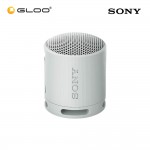 Sony SRS-XB100/HCE Grey Speaker 4548736146259