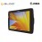 Zebra ET40 Enterprise Android Tablets 10.1" WUXGA Display 1D 2D Bluetooth 5.0 WiFi (ET40AB-001C1B0-A6)