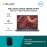 [Pre-order] Dell Latitude L7330UL-i76516G-512-W11 Notebook (i7-1265U,16GB,512GB SSD,Intel Iris Xe,13.3”FHD,W11P,3Yrs) [ETA:3-5 working days]