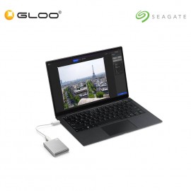 Seagate One Touch SSD 1TB - Silver STKG1000401