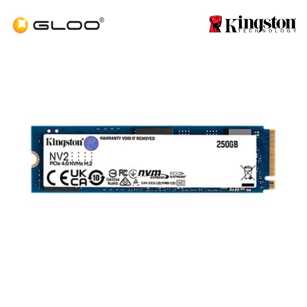 Kingston 250GB NV2 PCIe 4.0 NVMe SSD (SNV2S/250G)