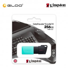 Kingston DataTraveler Exodia M USB Flash Drive 256GB DTXM/256G