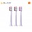 Xiaomi Dr. Bei Sonic Electric Toothbrush Head (Violet Gold)