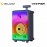 Vinnfier Tango 500 WMV Portable Karaoke Speaker