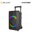 Vinnfier Tango 600 WMV Portable Trolley Wireless Speaker with Dual Mic 9555 63720 5058