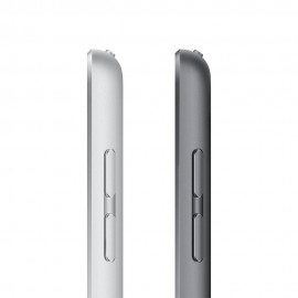 Apple iPad 10.2-inch 9th Gen Wi-Fi 256GB - Space Grey