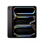 Apple 13-inch iPad Pro Wi-Fi + Cellular 512GB with Standard glass - Space Black