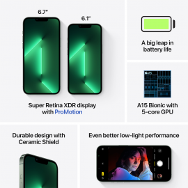 Apple iPhone 13 Pro 1TB Alpine Green  